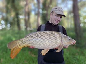 Common Carp