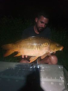 Mirror Carp