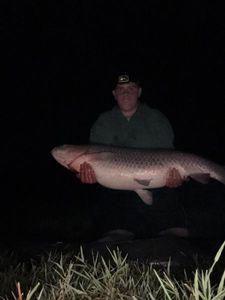 Grass Carp