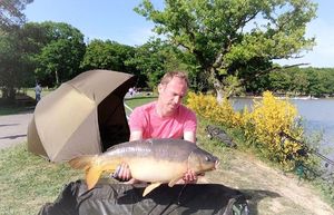 Mirror Carp