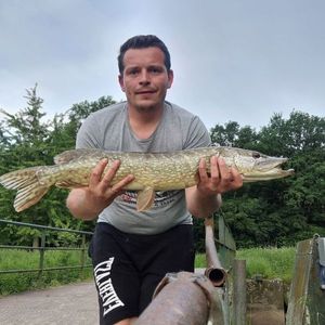 Northern Pike