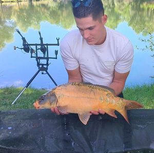 Mirror Carp