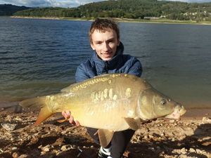 Mirror Carp