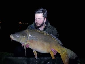 Mirror Carp