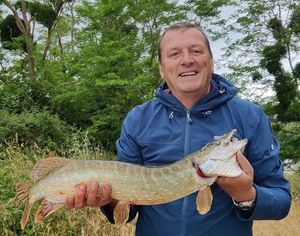 Northern Pike