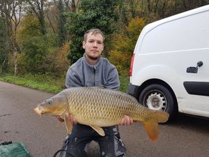 Common Carp