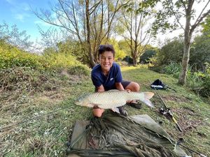 Grass Carp