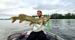 Northern Pike