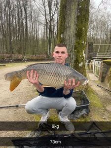 Common Carp