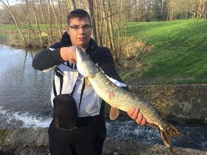 Northern Pike