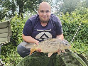 Common Carp