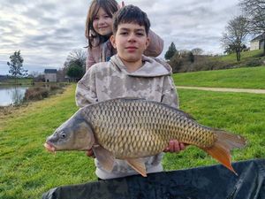 Mirror Carp