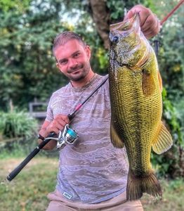 Largemouth Bass