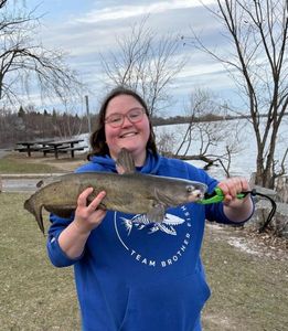 Channel Catfish