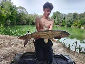 Grass Carp
