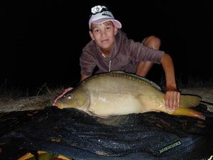 Mirror Carp