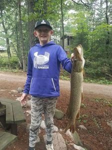Northern Pike
