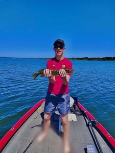 Brochet