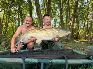 Grass Carp