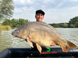 Mirror Carp