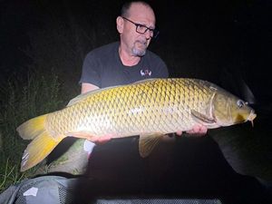 Common Carp