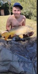 Mirror Carp