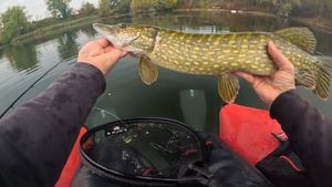 Northern Pike