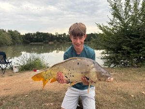 Mirror Carp