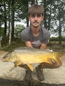Mirror Carp
