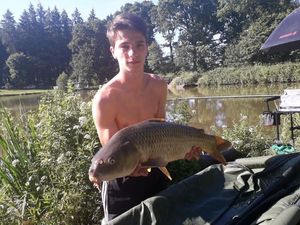 Common Carp