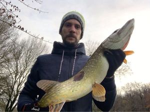 Northern Pike