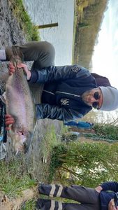 Rainbow Trout