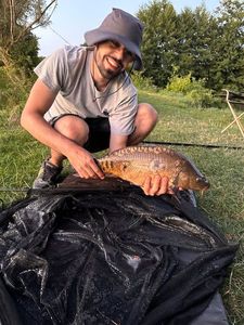 Mirror Carp