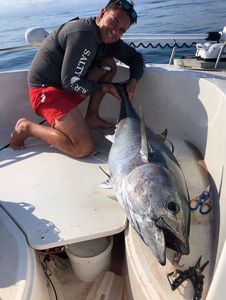 Bluefin Tuna