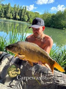 Leather Carp