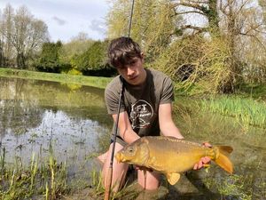 Mirror Carp