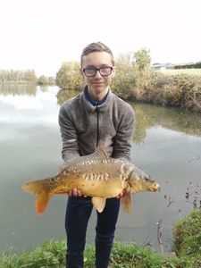 Mirror Carp