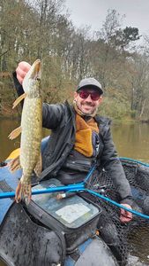 Northern Pike