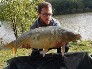 Mirror Carp