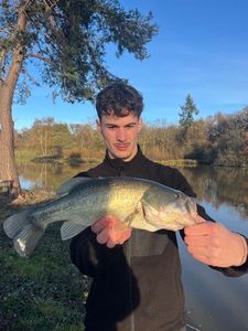 Largemouth Bass