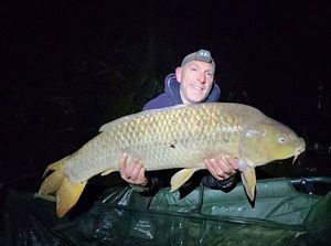 Common Carp