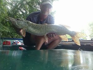 Northern Pike