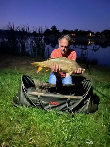 Mirror Carp