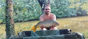 Mirror Carp