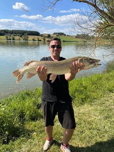 Northern Pike