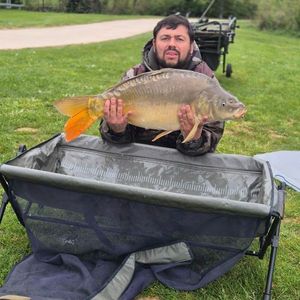 Mirror Carp