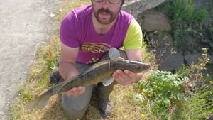 Zander
