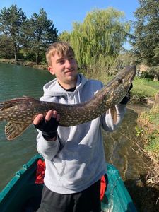 Northern Pike