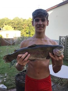 Sea Trout