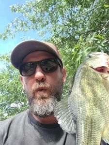Largemouth Bass